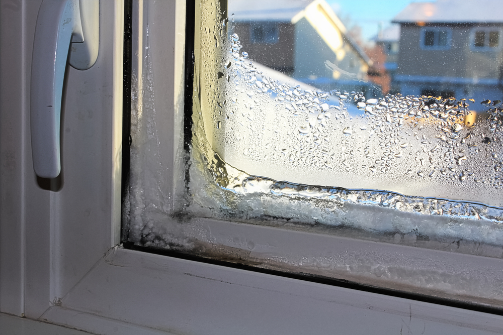 Preparing Your Windows For The Winter